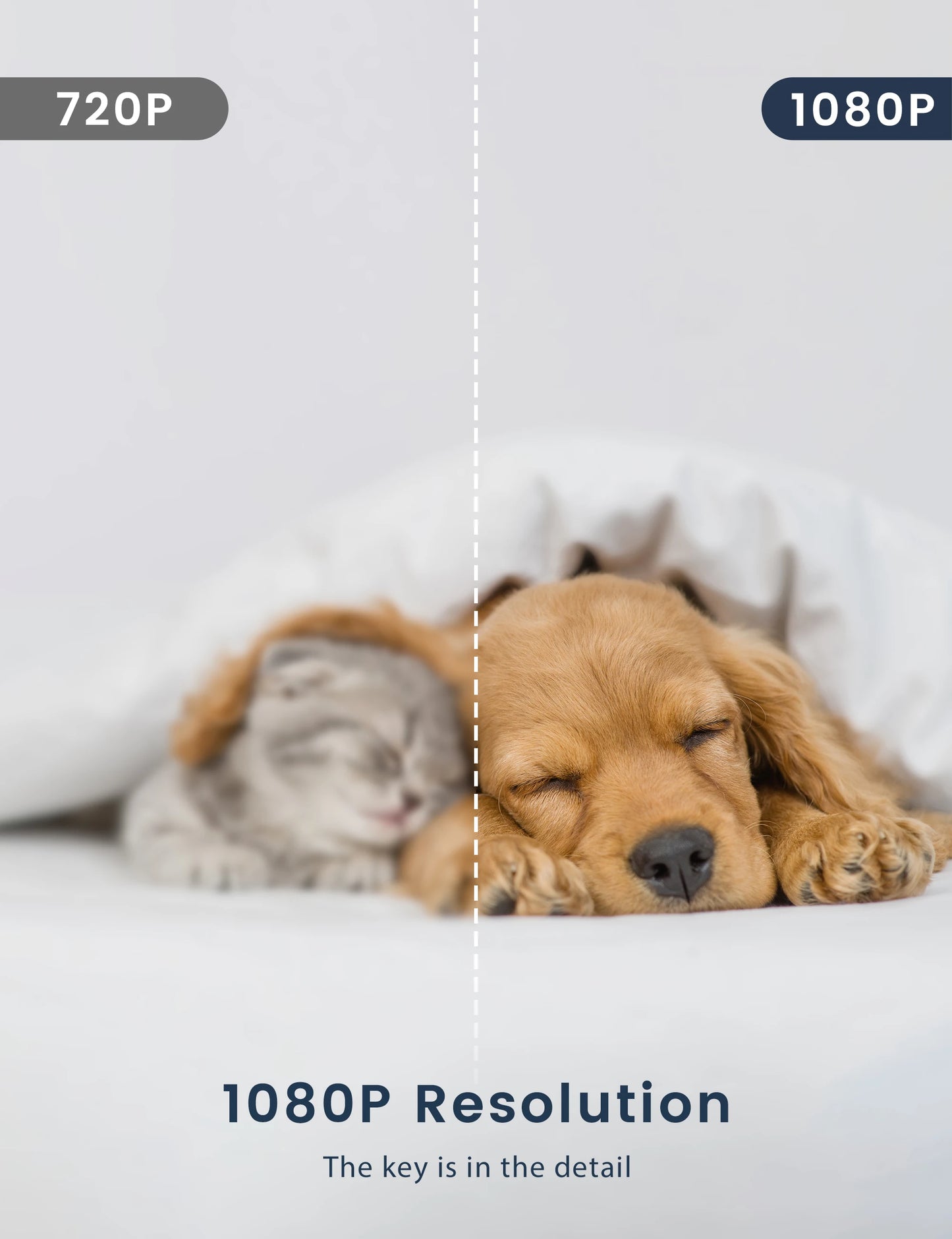 Pet Camera with Phone APP, Dog C Indoor Security Baby Camera, , Motion Detection and Tracking, Night Vision