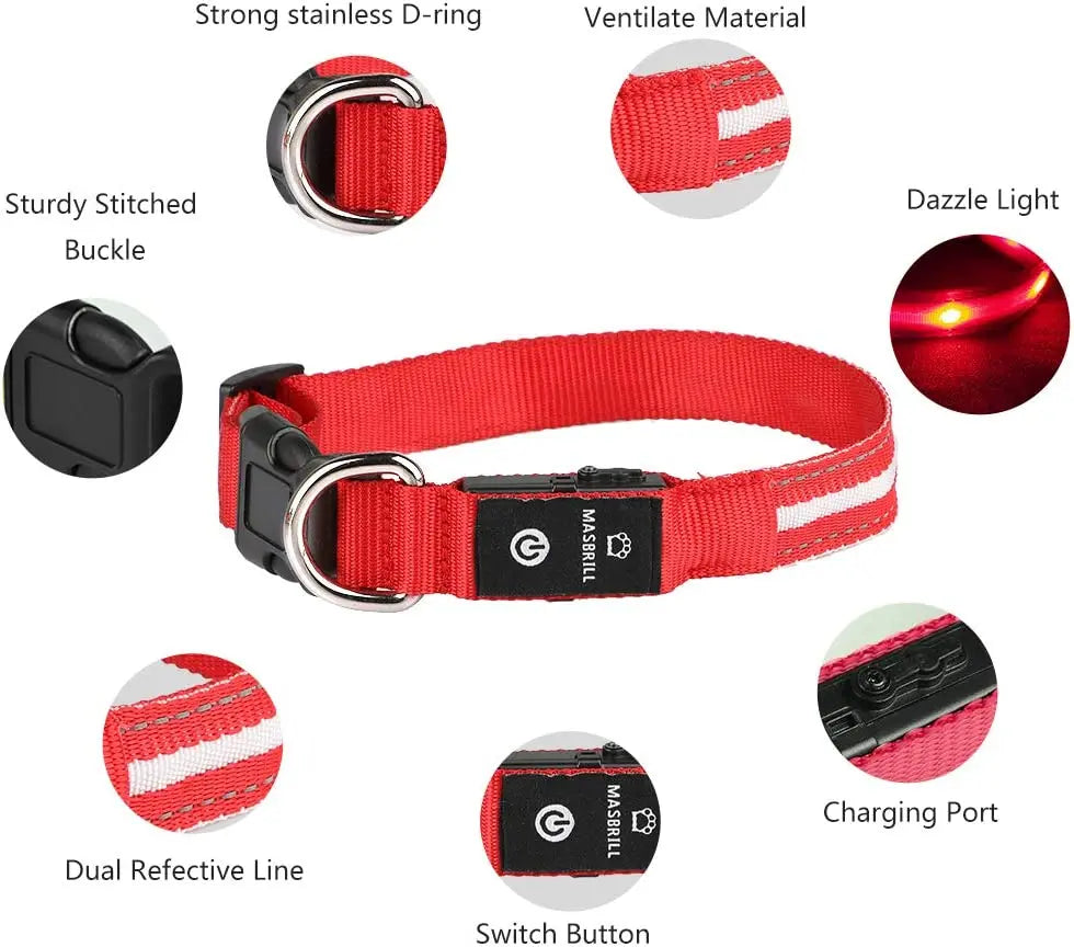 Rechargeable LED Dog Collar 100% Waterproof Flashing Lights with USB Outdoor Walking Night Safety