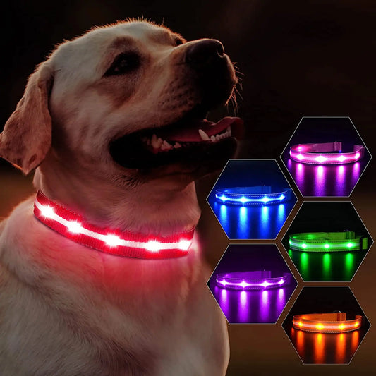 Rechargeable LED Dog Collar 100% Waterproof Flashing Lights with USB Outdoor Walking Night Safety