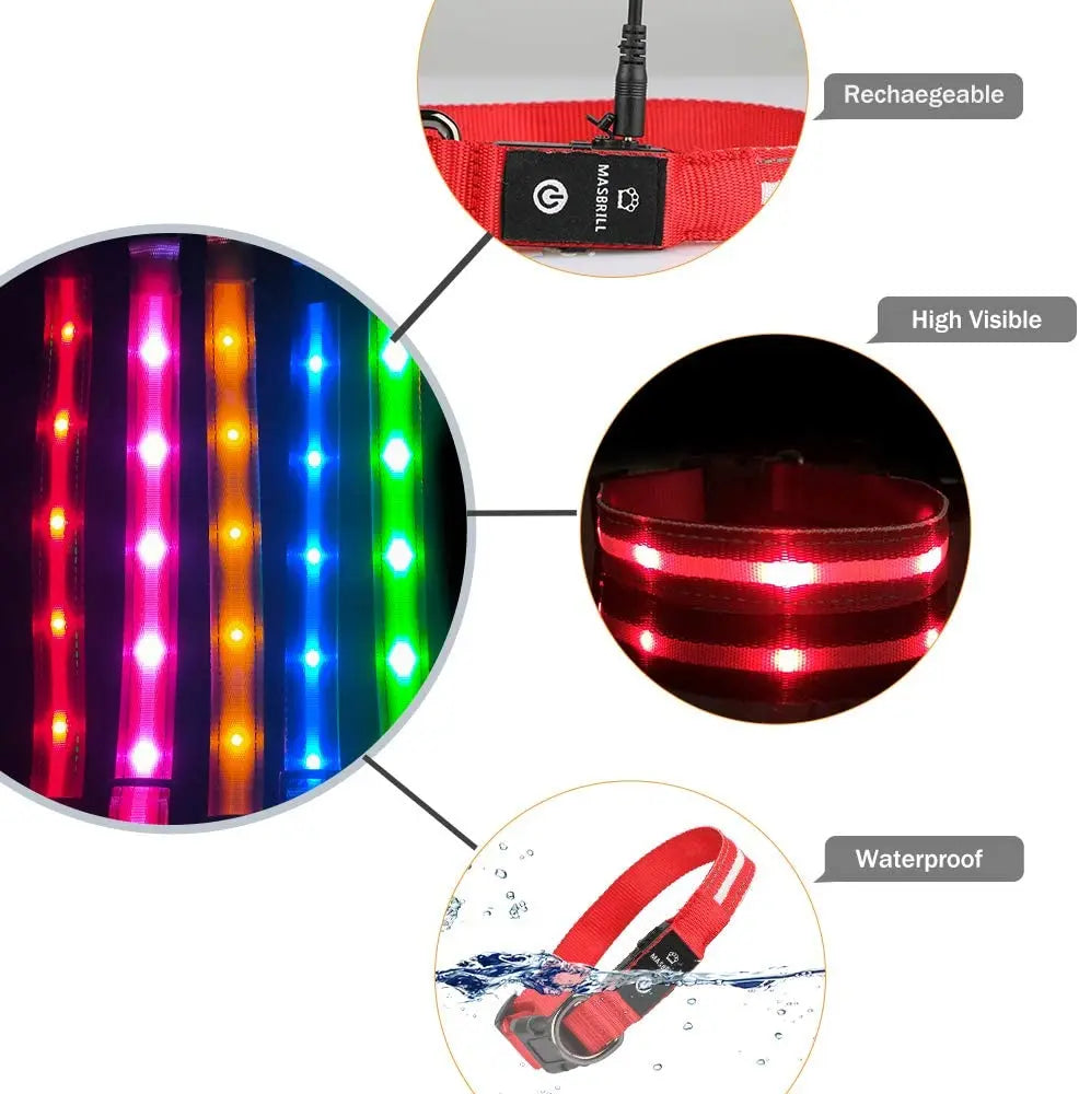 Rechargeable LED Dog Collar 100% Waterproof Flashing Lights with USB Outdoor Walking Night Safety