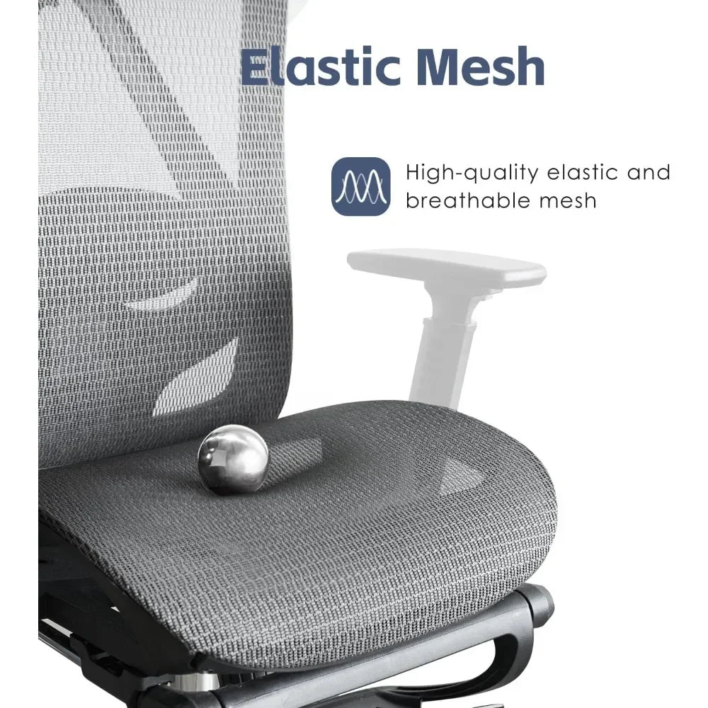 Ergonomic Office Chair with Adjustable Lumbar Support, Retractable Footrest