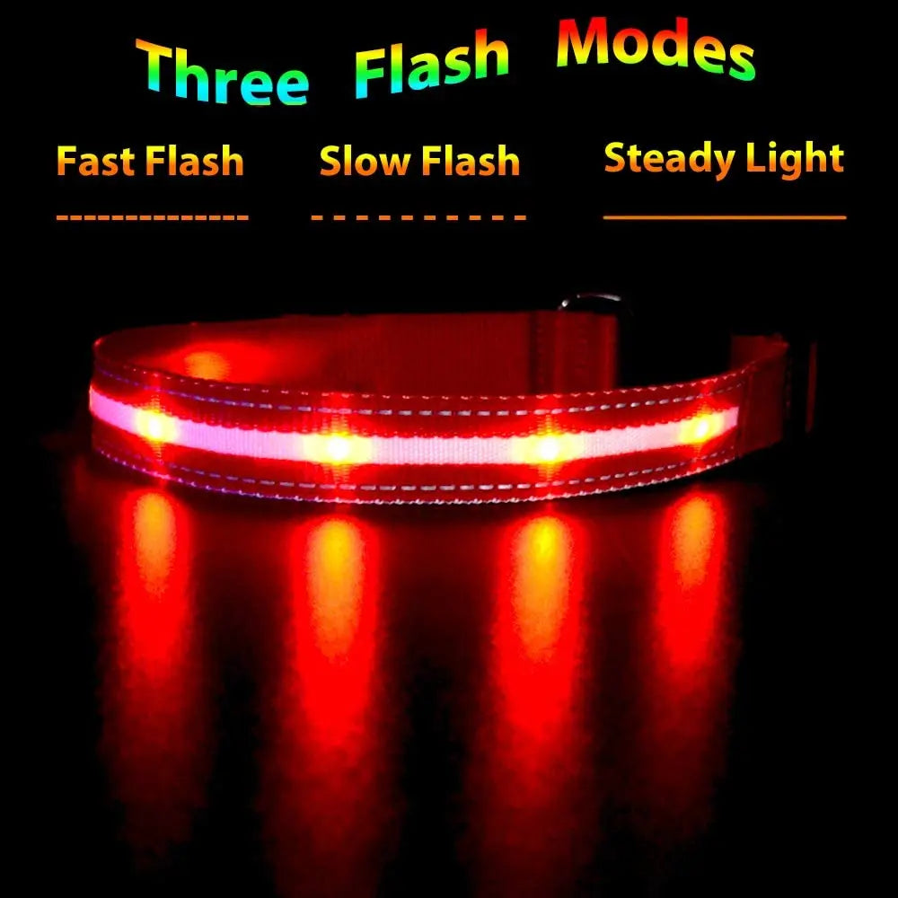 Rechargeable LED Dog Collar 100% Waterproof Flashing Lights with USB Outdoor Walking Night Safety